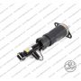 Sospensione Posteriore Audi A6 Allroad