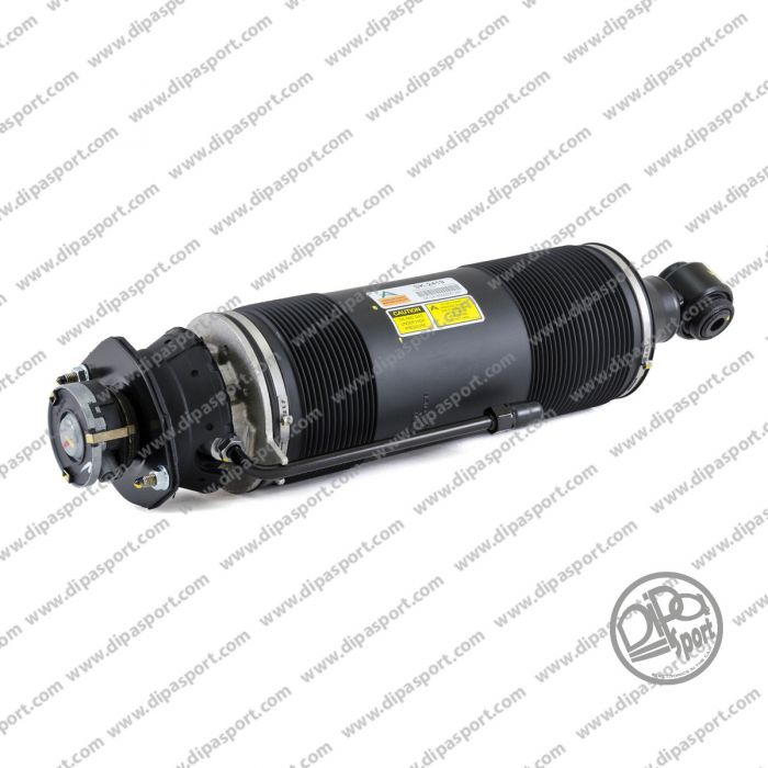 2303204613 Sospensione Post. Destra Mercedes SL AMG