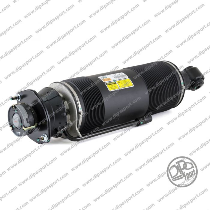 A2303200513 Sospensione Post. Dx Arnott MB Classe SL