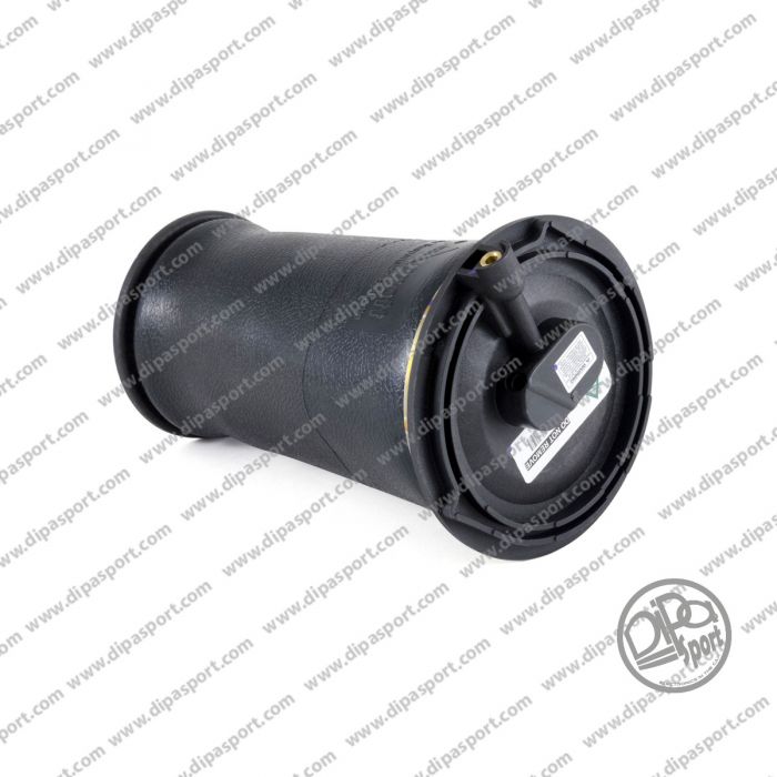 RKB101460 Molla Posteriore Range Rover II (P38A)