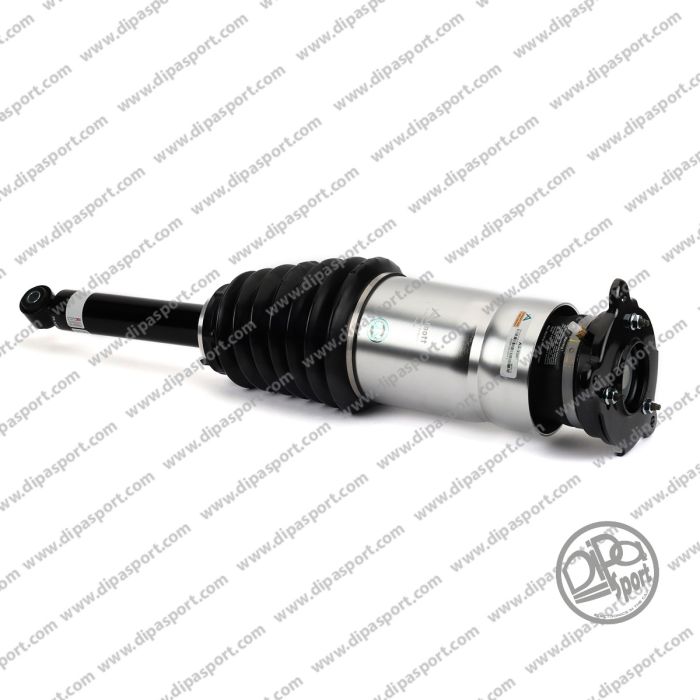 106746125C Sospensione Posteriore New Tesla Model S