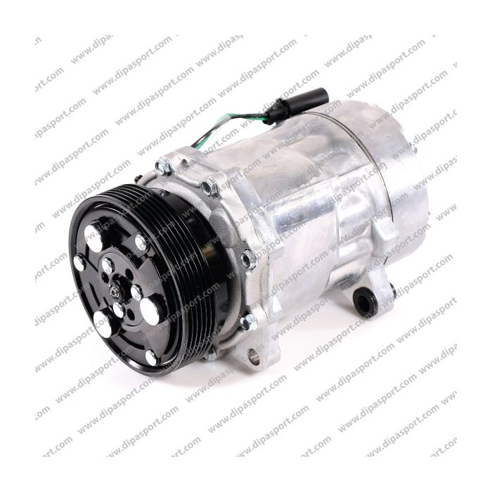 1076012 Compressore Clima A/C Delphi Gruppo Vag