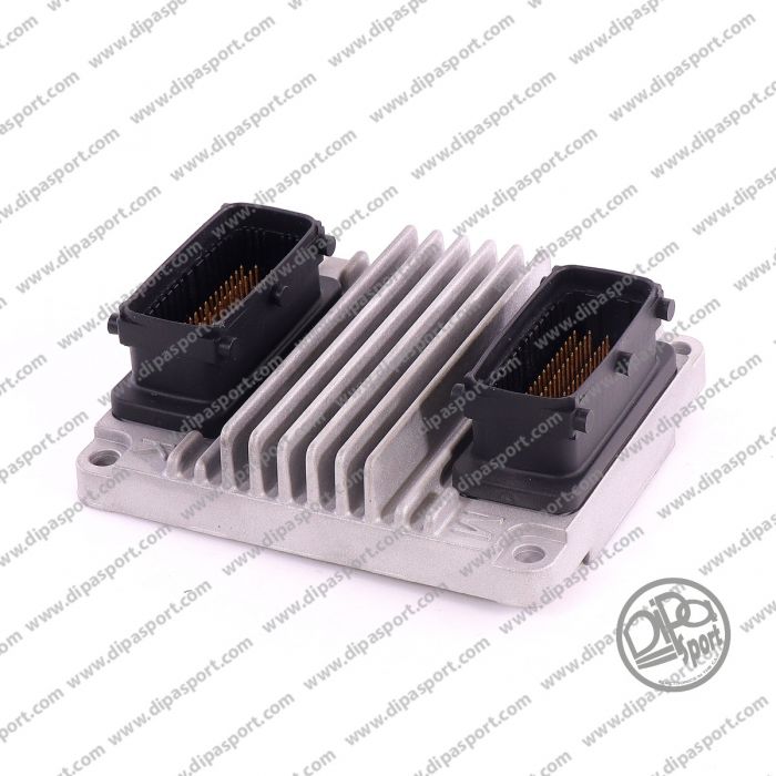 9391340 Ecu Benzina Delphi Delco Opel 1.4 1.6 
