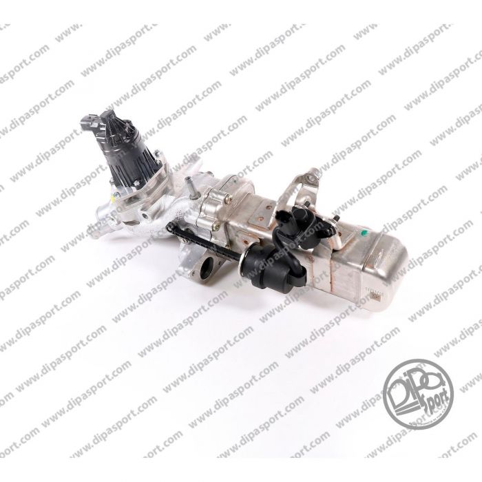 55494194 Egr Completa Revisionata Opel 2.0 CDTI