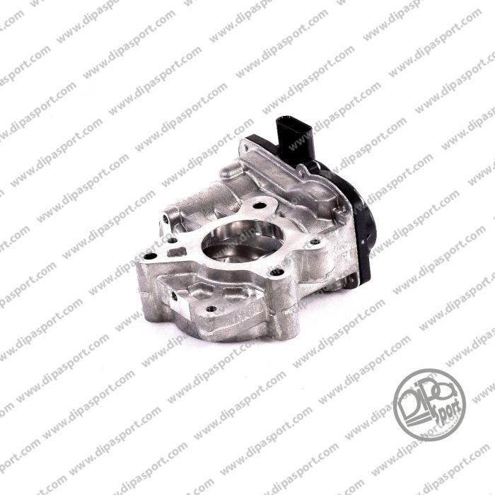 46349574 Revisione Valvola Egr Fca 1.6 Multijet