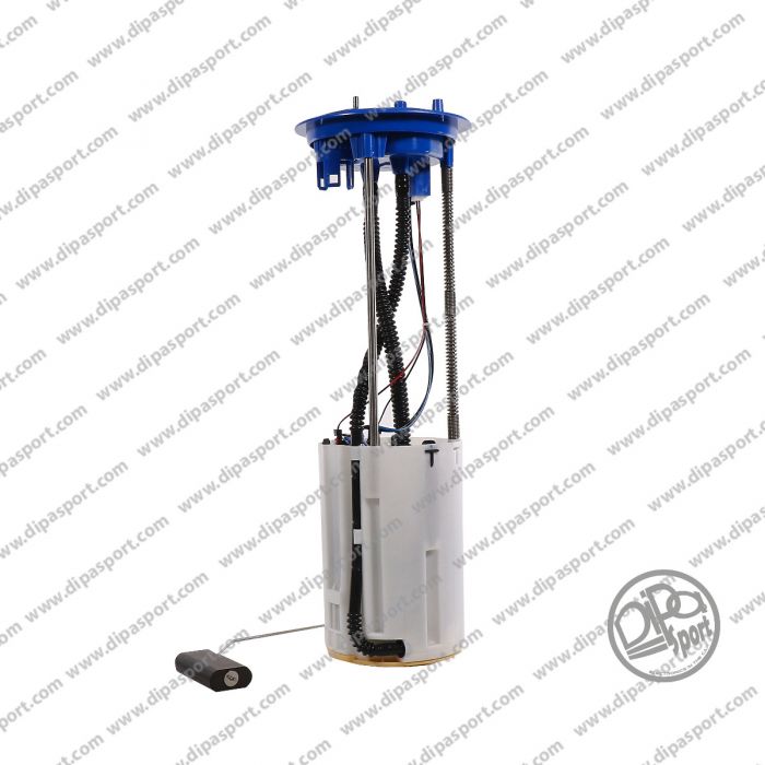 1348741080 Pompa Carburante Delphi Fiat 2.3 3.0