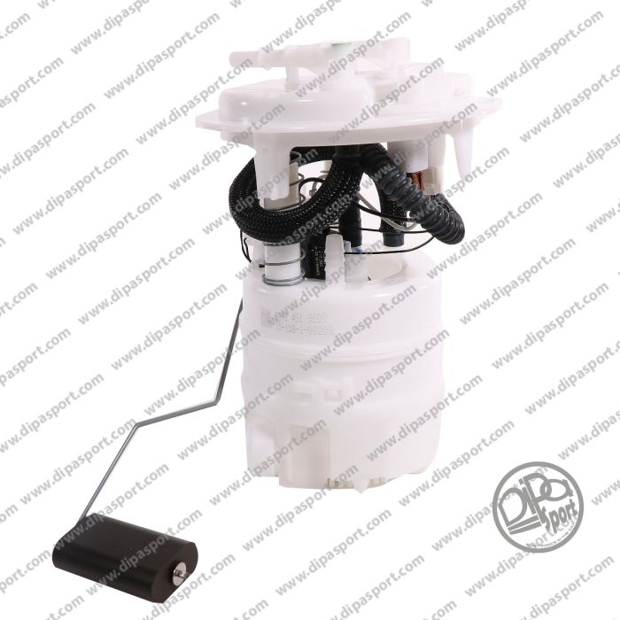 1525N9 Pompa Carburante Delphi Peugeot 206 406