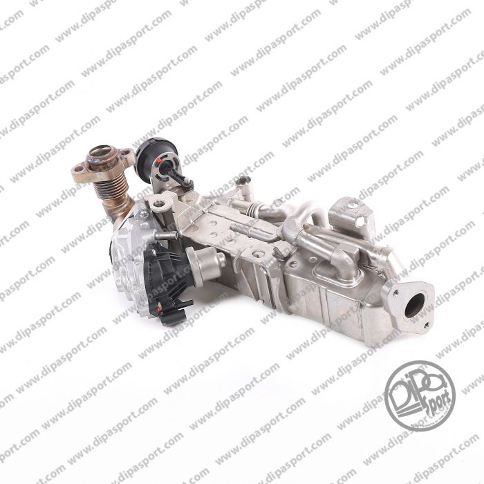 11718518202 Egr Completa Revisionata Dipa Bmw 2.0 d