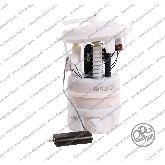 1525HY Pompa Carburante Delphi Citroen Peugeot