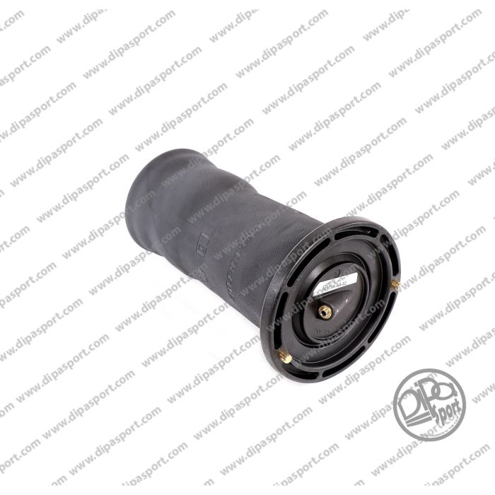 RKB101200 Molla Posteriore Land Rover Discovery II
