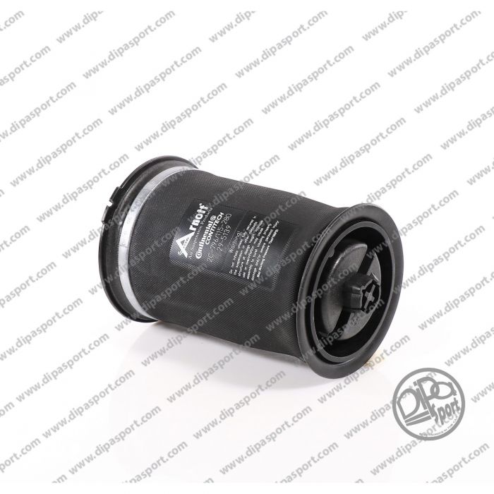 37126790078 Molla Aria Posteriore Arnott Bmw X5 X6