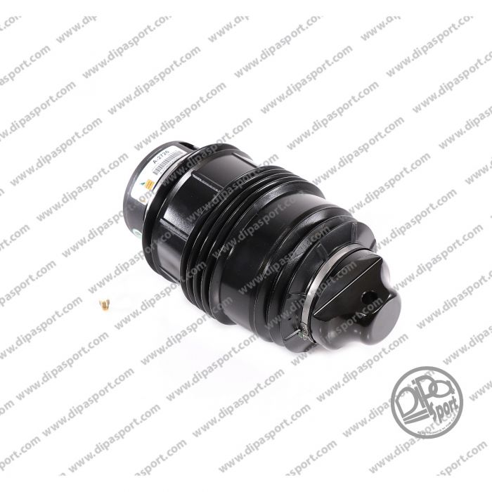 A2113200925 Molla Aria Posteriore Mercedes Classe E