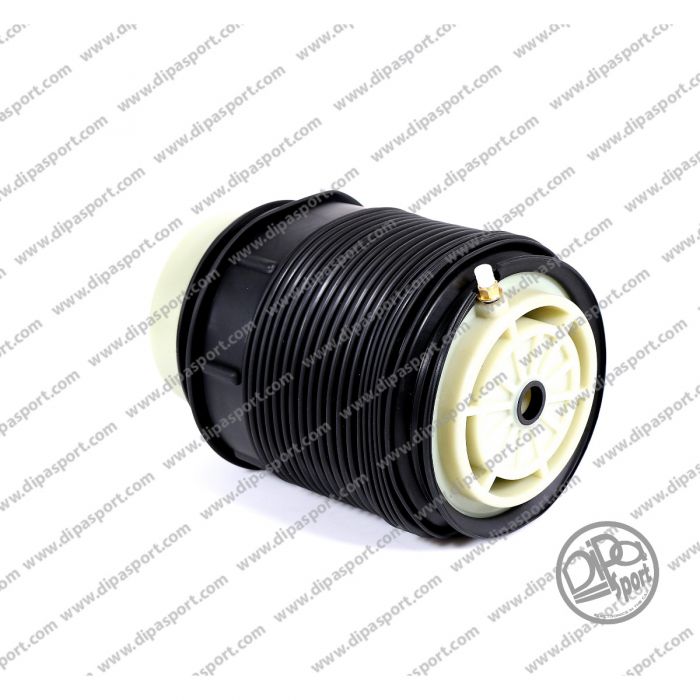 A2123203925 Soffietto Post. Sx Mercedes Classe E CLS