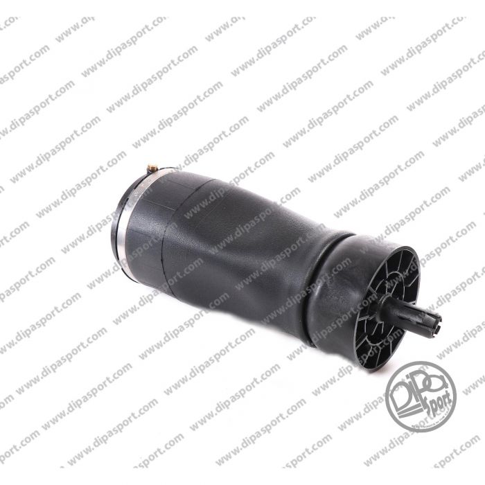 LR034262 Molla Posteriore Range Rover IV (L405)