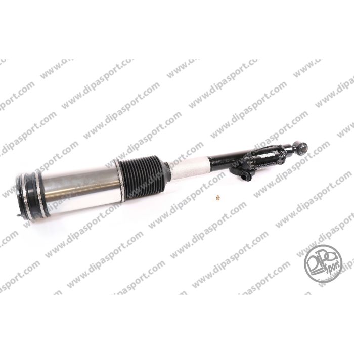 2203205013 Sospensione Mercedes Classe S (W220)