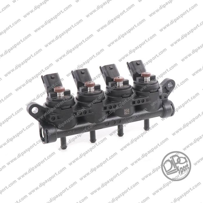 238000035 Rail 4 Iniettori Girs12 Tipo XXS Marrone
