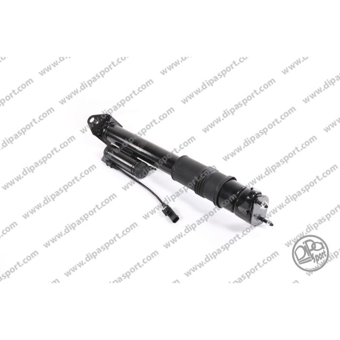 A2513203031 Ammortizzatore Post. Dipa MB Classe R