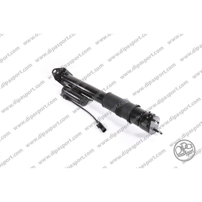 A2513203031 Ammortizzatore Olio Posteriore MB Cl. R