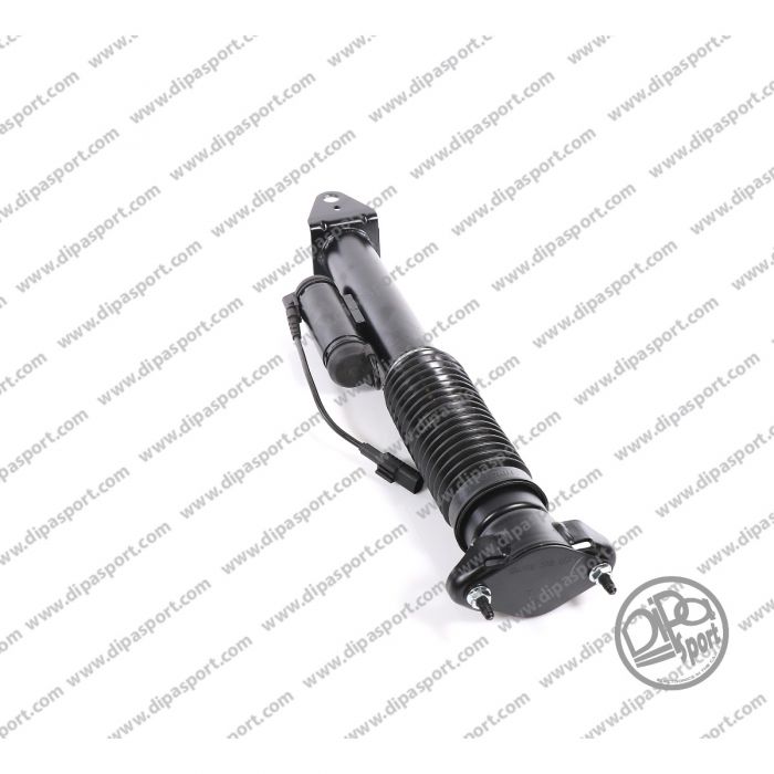 1663200130 Ammortizzatore Posteriore Dipa Mercedes