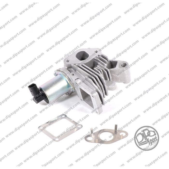 7701058850 Egr Renault Megane Scenic Laguna 1.9 dCi
