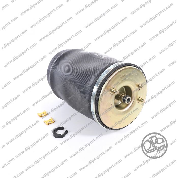 37126750355 Molla Aria Posteriore Sx Bmw X5 (E53)