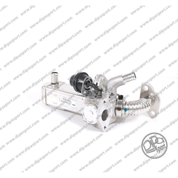 147355X00A Scambiatore Egr Nuovo Nissan 2.5 Diesel