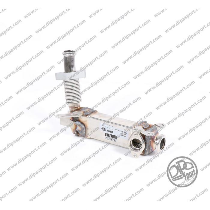 11717790065 Scambiatore Egr Behr Bmw 2.0 2.5 3.0 d