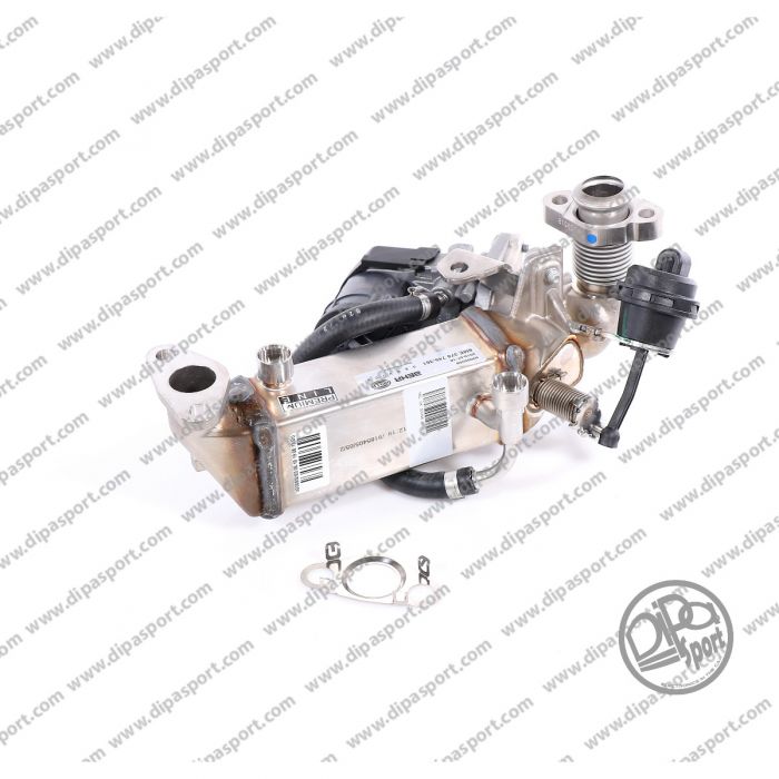11717810166 Egr Completa Nuova Behr Bmw 2.0 d Diesel