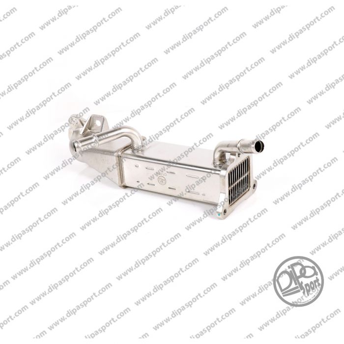 BK2Q9F464BE Scambiatore Egr Nuovo Dipa Ford 2.2 TDCi