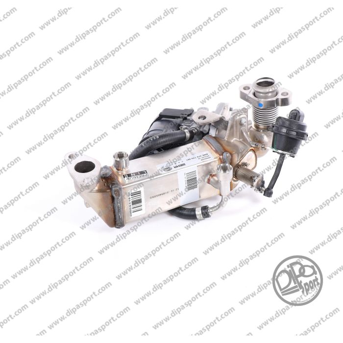 11717810166 Egr Completa Revisionata Dipa Bmw 2.0 d