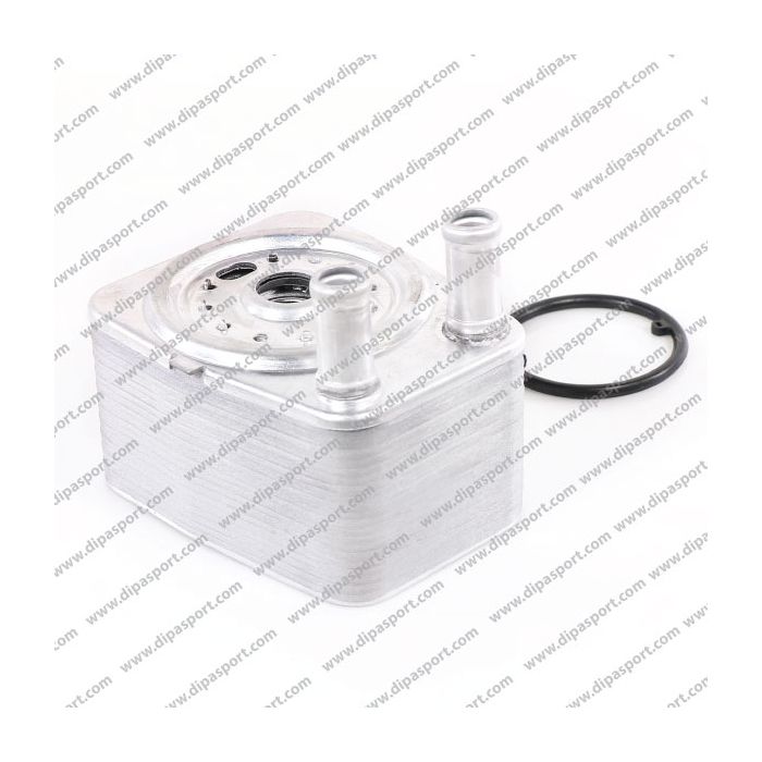 038117021C Radiatore Olio Nuovo Dipa Vag 2.0 3.2