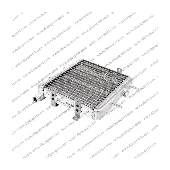 2105001000 Radiatore Olio Motore Behr Classe E 