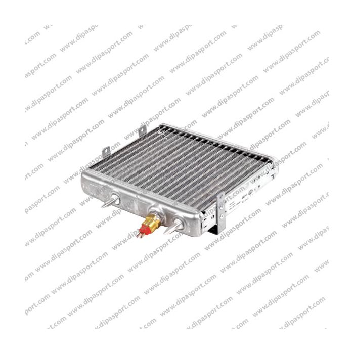 2105001100 Radiatore Olio Nuovo Behr Classe E
