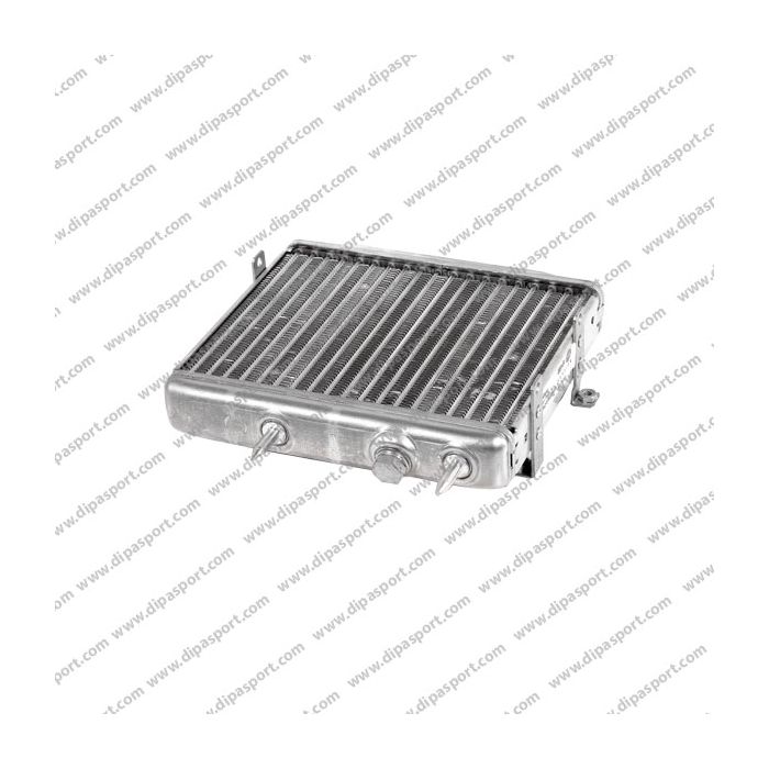 1405011601 Radiatore Olio Motore Classe S Vario