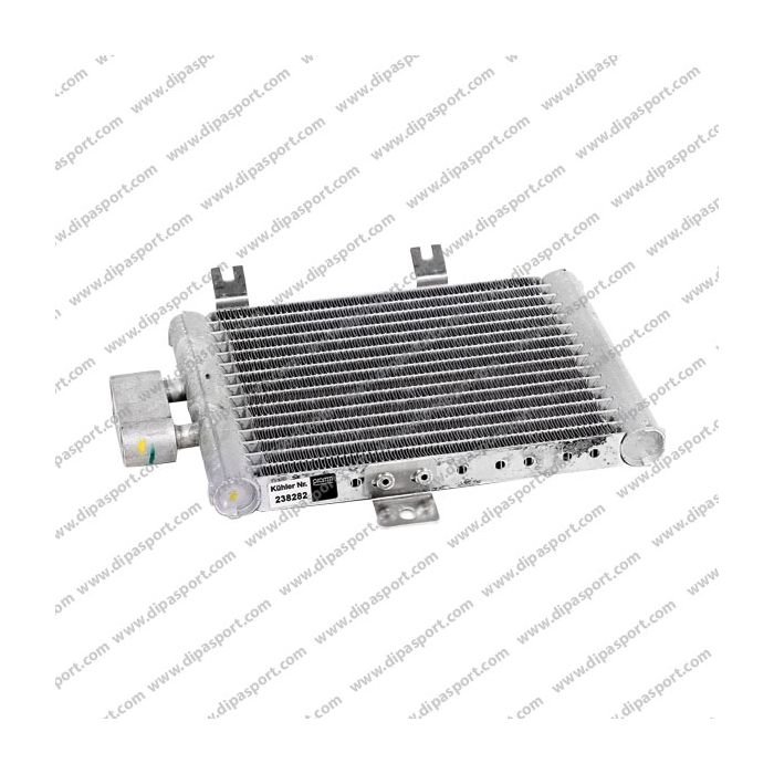 2155000000 Radiatore Olio Motore Mercedes Classe S