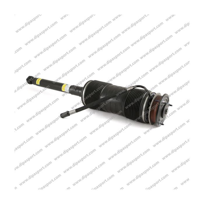A2213208613 Sospensione Posteriore Dx Mercedes S CL